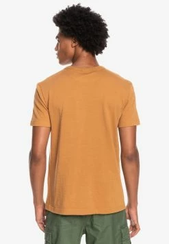 Acheter ❤️ Quiksilver TRANSAT PLACEMENT - T-shirt Imprimé - Chipmunk 😀 -Quiksilver Soldes Boutique 000971d6c872455ebe6b0fedc54d3725