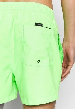 Vente flash 💯 Quiksilver EVERYDAY VOLLEY - Short De Bain - Green Gecko ✨ -Quiksilver Soldes Boutique 098e41ddaea94ccea65a3aea9c97d230