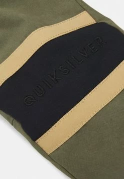 Le moins cher 🎉 Quiksilver BROAD PEAK MITT - Moufles - Grape Leaf 🎁 -Quiksilver Soldes Boutique 0c61c143b9a040909c2f162087d4e258