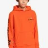 Meilleure affaire 🧨 Quiksilver STIR IT UP HOOD YOUTH - Sweatshirt - Cherry Tomato ⭐