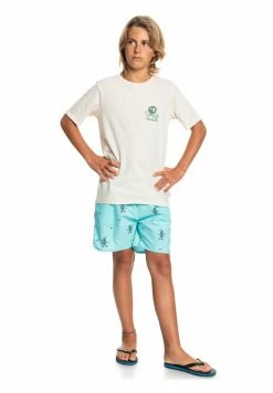 Meilleur prix 🔔 Quiksilver NEW WORLD - T-shirt Imprimé - Antique White Heather 👍 -Quiksilver Soldes Boutique 241202cf789a4380814e954b8f243351