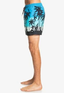 Nouveau 💯 Quiksilver EVERYDAY PARADISE - Short De Bain - Blithe ⭐ -Quiksilver Soldes Boutique 25bf172df239474e82d577b8d5d4ff86