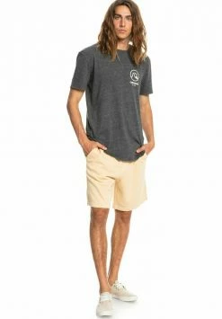 Meilleure vente 🎁 Quiksilver TRIP AWAY - Short - Prairie Sand ❤️ -Quiksilver Soldes Boutique 48f6af69c8034bbbbd0630a751f1807e
