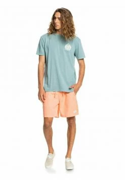 Meilleure vente ❤️ Quiksilver PROMOTE THE STOKE - T-shirt Imprimé - Sea Pine 😍 -Quiksilver Soldes Boutique 570e680cea9b4e689f425c510ff2ecba