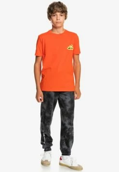 Acheter 🔥 Quiksilver HELLS YEAH SS YTH - T-shirt Imprimé - Cherry Tomato ⌛