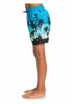 Meilleure affaire 🤩 Quiksilver Short De Bain - Blithe 🎉 7 Meilleure affaire 🤩 Quiksilver Short De Bain - Blithe 🎉 -Quiksilver Soldes Boutique 5d4685bc2dc84aed9d92ea4ee590a746