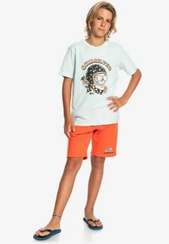 Top 10 👍 Quiksilver SKULL TROOPER SS YTH - T-shirt Imprimé - Blue Glass 🎉