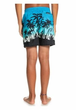 Meilleure affaire 🤩 Quiksilver Short De Bain - Blithe 🎉 6 Meilleure affaire 🤩 Quiksilver Short De Bain - Blithe 🎉 -Quiksilver Soldes Boutique 67fe0b0e0ddc450887a2659abedbc9ec