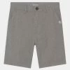 Remise ⭐ Quiksilver EVERYDAY LIGHT - Short - Light Grey Heather 💯