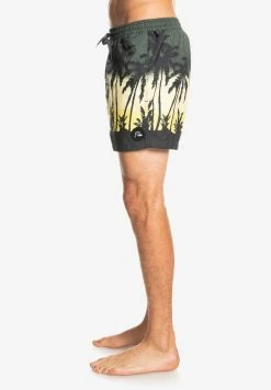 Meilleure affaire ⌛ Quiksilver EVERYDAY PARADISE - Short De Bain - Thyme ❤️ -Quiksilver Soldes Boutique 9aff6ba9f3ed4420ae41735e64c723ca