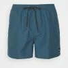 Remise 🔔 Quiksilver EVERYDAY VOLLEY - Short De Bain - Real Teal Heather 🔔
