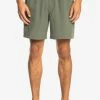 Nouveau 🧨 Quiksilver OMNI STRETCH 17" - Short De Bain - Thyme 🎉
