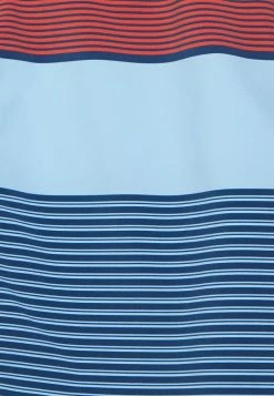 Meilleur prix ⌛ Quiksilver SURFSILK TIJUANA - Short De Bain - Insignia Blue 💯 -Quiksilver Soldes Boutique dc9bdb9d37474bfc896fc5dca5c82790