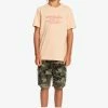 De gros 🔔 Quiksilver FEEDING LINE - T-shirt Imprimé - Almond Cream 💯